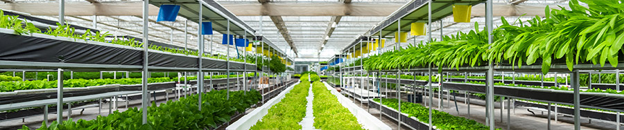 山東福潤康工程機械有限公司